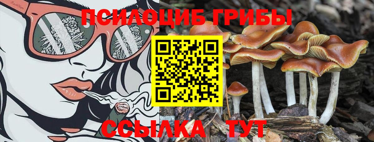Галлюциногенные грибы прущие грибы Глазов
