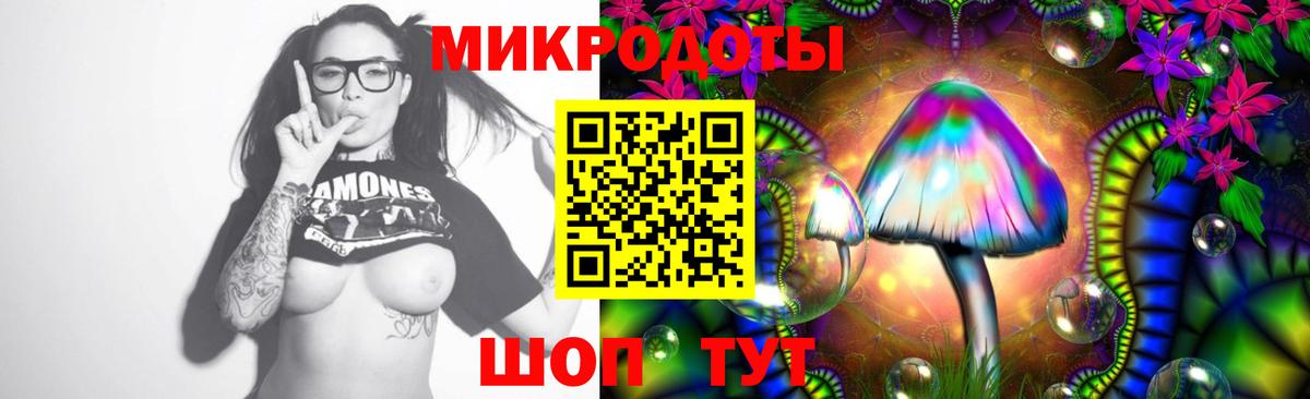 что такое   Вход с VPN  Глазов  Псилоцибиновые грибы прущие грибы 